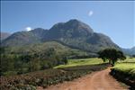 11 Mulanje